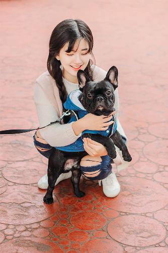 东岛丹三郎想成为假面骑士