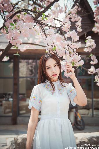 会长是女仆大人动漫完整版