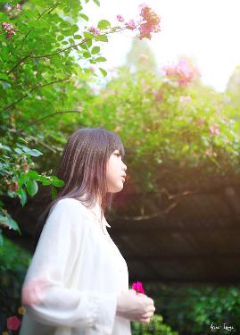 欢乐家长群2电视剧免费播放完整版