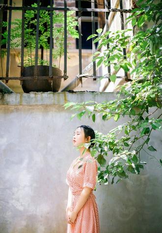 似锦电视剧免费观看完整版高清