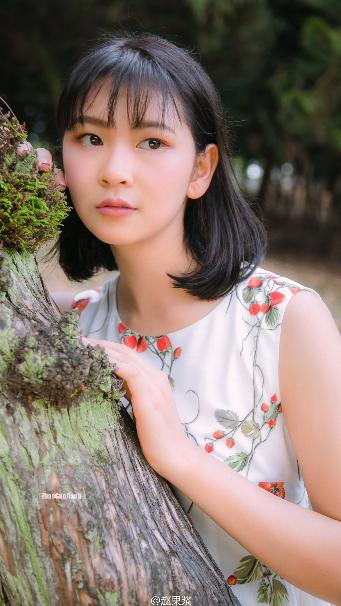 红楼梦87版全集完整版免费