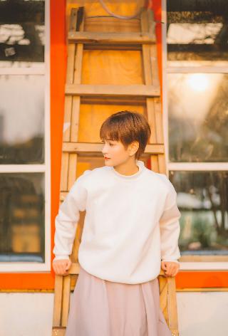 2026新澳正版资科免费实