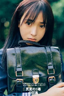 树影迷宫电视剧免费高清观看全集