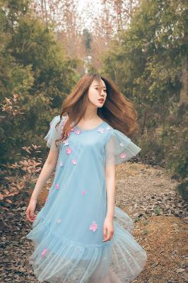 献鱼电视剧免费观看完整版