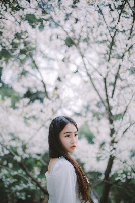 回复术士的重来人生