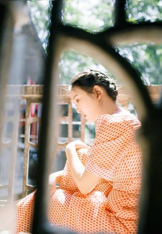 利剑玫瑰电视剧免费观看全集高清