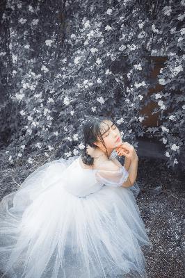 成全在线观看免费观看全集