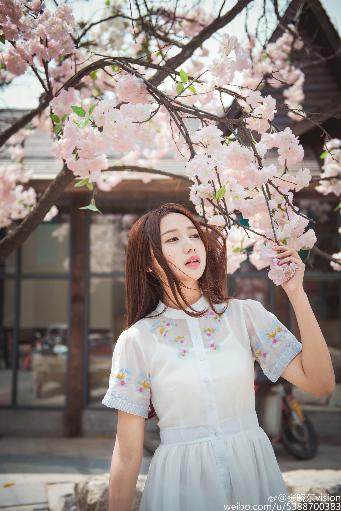 影视版权申请流程及费用